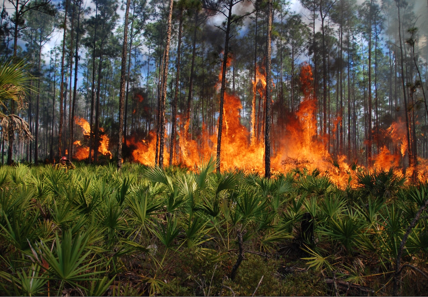 SE United States Fire