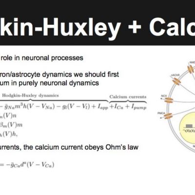 Calcium-Enhanced Calcium Models